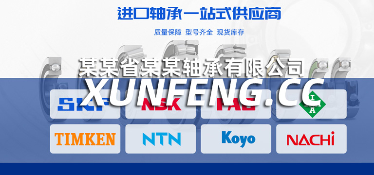 进口轴承